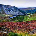 Multicolored Carpet of Wicklow Hills. Ireland