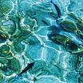 Water Meditation II. Five Elements. Healing with Feng Shui and Color Therapy in Interior Design