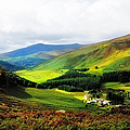 Where is Soul Flying. Wicklow Mountains. Ireland